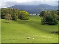 NY3701 : Wray Castle Estate, View from the Terrace by David Dixon