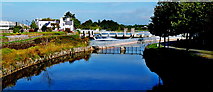 M2925 : Galway City - Corrib River Canal around the Salmon Weir  by Suzanne Mischyshyn