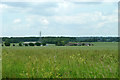 View towards Little Grange Farm