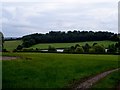 Reservoir off Sandy Lane