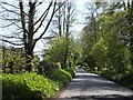 Road through valley near Milton Mills