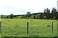 Farmland at Castlefairn