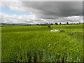 Ardstraw Townland