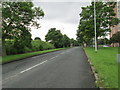 Foundry Lane - viewed from Foundry Mill Drive