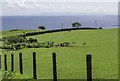 Fields at High Auchenlarie