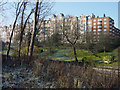 Apartments on Prince Albert Road