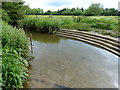 SP4891 : Stream at the Fosse Meadows Country Park by Mat Fascione