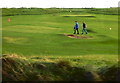 R0888 : County Clare - R478 (Liscannor Road) - Lehinch Area - Golf Links Practice Greens by Suzanne Mischyshyn