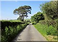 Lane from Kingsmoor Cross