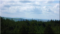 SO0121 : The Brecon Beacons viewed from Beacon Lodge beside Glyndwr's Way near Knighton in Mid Wales by Jeremy Bolwell