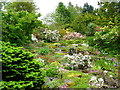 The rock garden at Branklyn