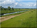 TL4584 : Track and Counter Drain - The Ouse Washes by Richard Humphrey