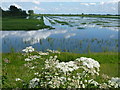 TL4584 : Summer flooding - The Ouse Washes near Mepal by Richard Humphrey