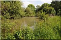 Pond beside the Heart of England Way