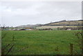 Farmland near The Alders