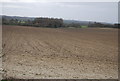 Farmland below The Downs