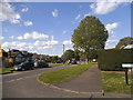 Dugdale Hill Road at the corner of Elmfield Road