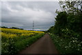 Minor Road towards Upper Coberley