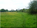 Footpath to Bateman