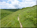 Littlecombe Down, path