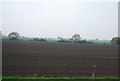 TL4963 : Ploughed field by N Chadwick