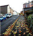 Autumn leaves on Stanley Hill, Totterdown, Bristol