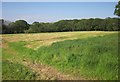 Field beside the Torridge