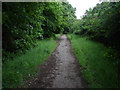 Cycle path from Redhill Road