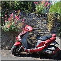 Motor scooter, red and dead, Abbey Road, Cornworthy