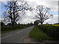 Rempstone Road south of East Leake (2)