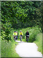 The Wirral Way at Lower Heswall