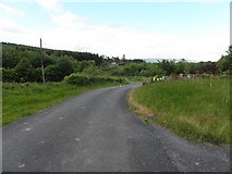 G9825 : Road at Annagh Upper by Kenneth  Allen