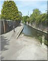 The Nail Bourne flowing along The Causeway