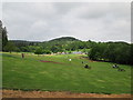 Mabie  Farm  Park,  Kilne  Hill  Plantation  beyond