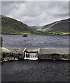 NB1800 : Wee dam and Loch by Peter Moore
