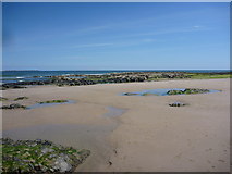 NU2033 : Coastal Northumberland : Shoreston Rocks, Near Seahouses by Richard West
