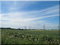 Pylons march across the Lincolnshire fields