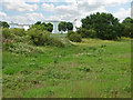 Rough pasture by the A30