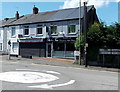 Palm Tree in Pontyclun