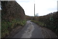 Narrow lane to Brabourne