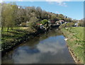 Western Cleddau from Freemans Way, Haverfordwest