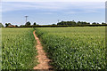 Footpath to Newbold Pacey