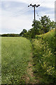 SP2856 : Footpath to Newbold Pacey by David P Howard