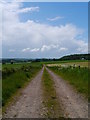 Access Track Near Stichill Stables