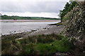 Torridge : River Torridge