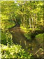 Fording place in Highfield Wood