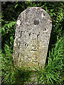 NY4200 : Inscribed stone at the foot of the Dubbs Road by Karl and Ali