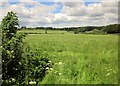 Field near Blackingstone Farm