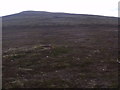 NJ2004 : Sudden change of ground conditions on bealach between Meikle Geal Charn and Cairn Sawvie west of Brown Cow Hill, Grampian by ian shiell