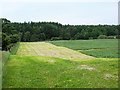 NY0986 : Mown field near Corncockle Plantation by Oliver Dixon